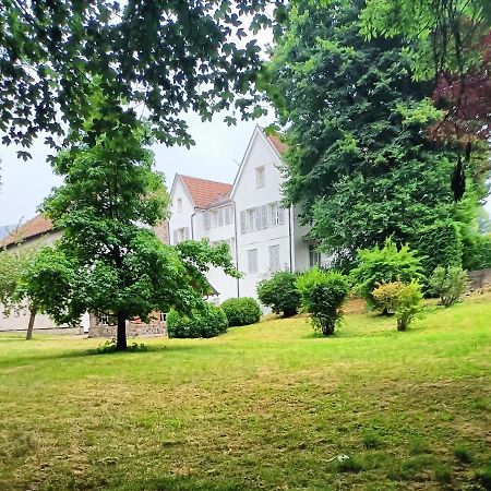 생 모리스 쉬르 모젤 Domaine De La Moselle B&B 외부 사진