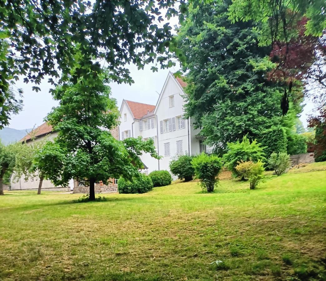 생 모리스 쉬르 모젤 Domaine De La Moselle B&B 외부 사진